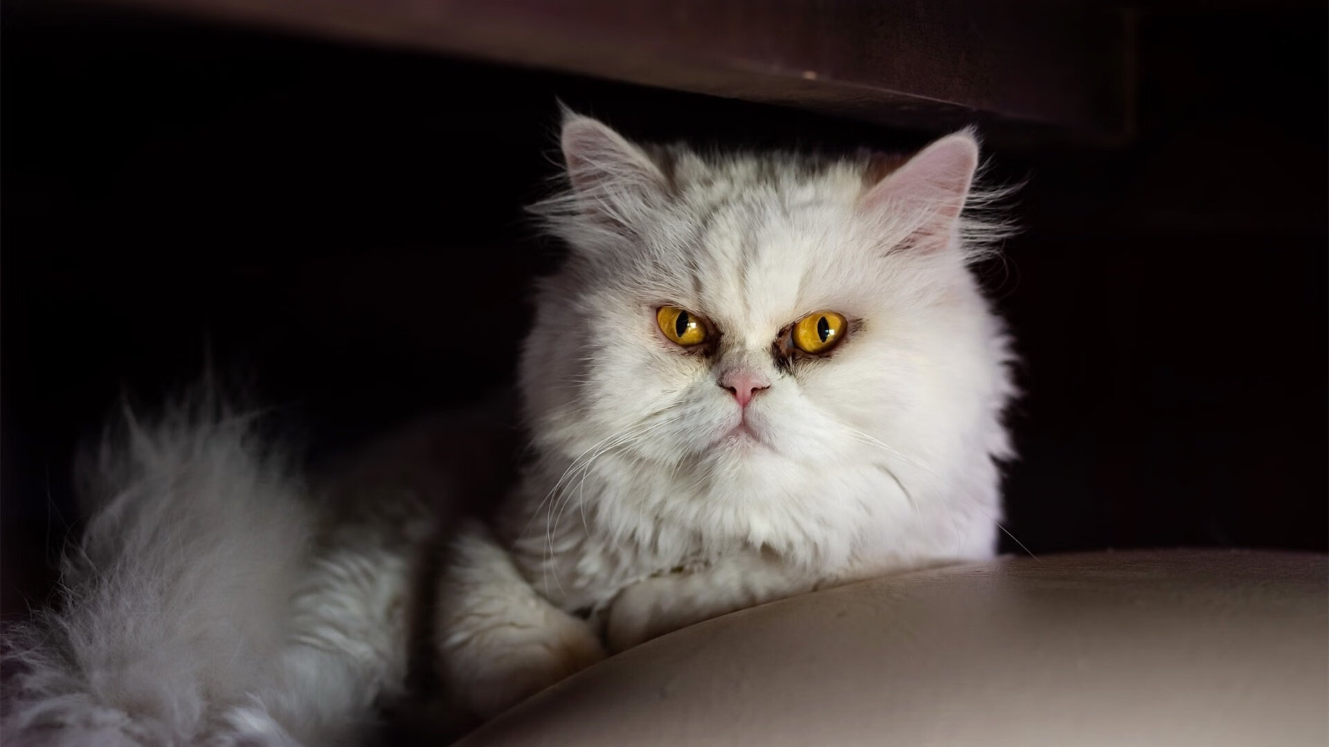 爱游戏中国官方登录入口网站-F1品牌联名:潮流与赛车的完美结合,f1都有哪些品牌的车队