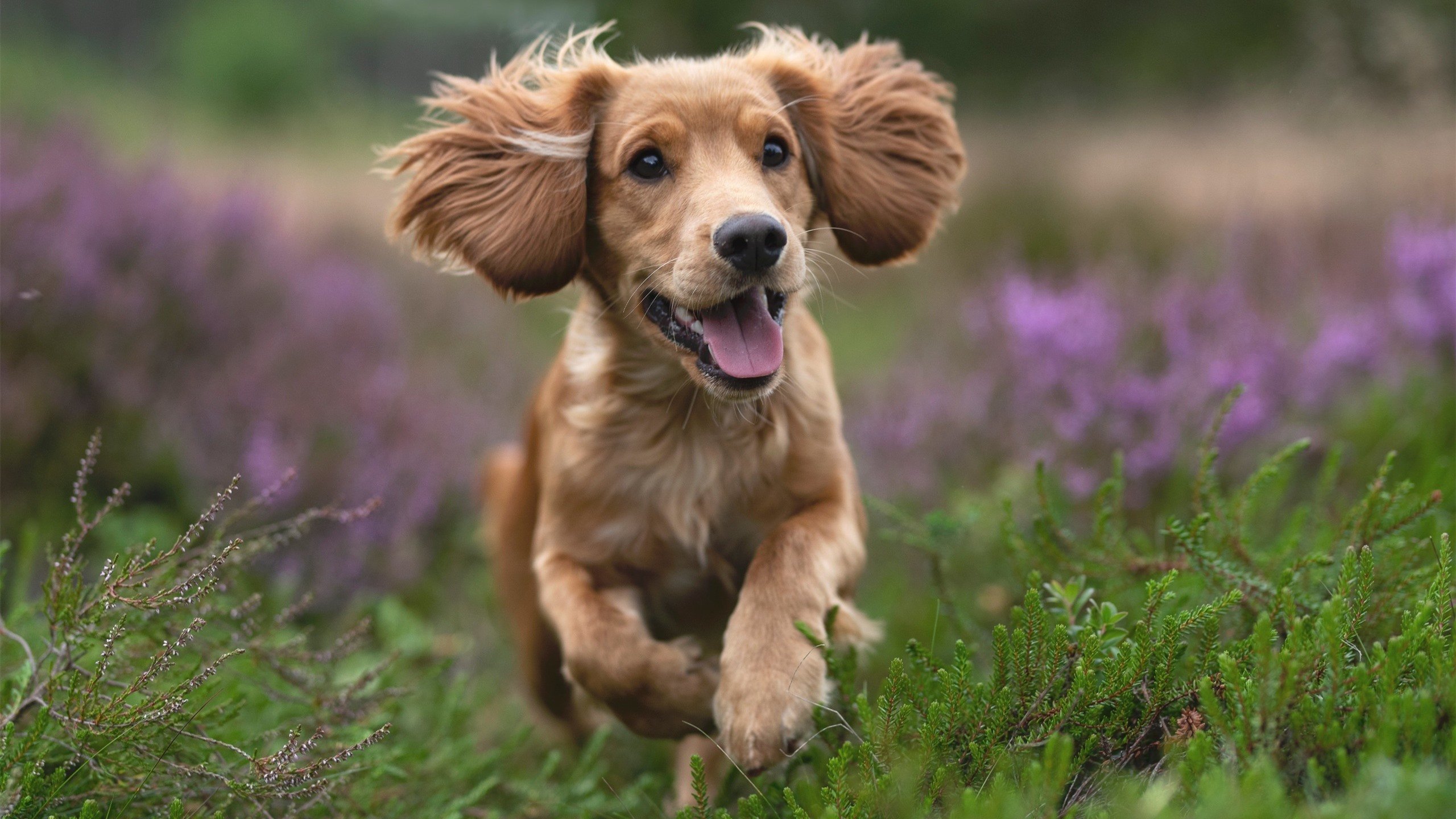 AYX体育-“青训营地引进行业顶级仿真模拟系统，提升实战能力”，模拟训练营为什么进不去