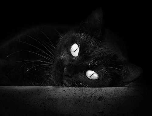 爱游戏官方网站-《Dota 2大洲争霸赛，强队突围谁与争锋》，dota2亚洲挑战赛