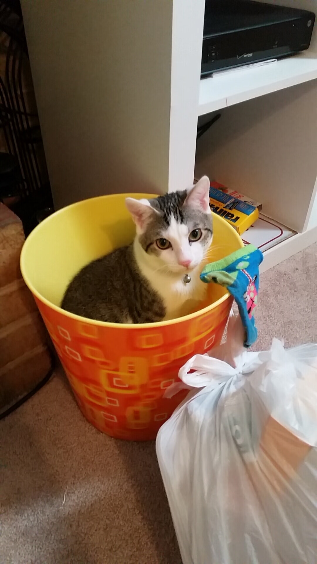 爱游戏体育-【穆基·贝茨的闪耀夜晚】道奇核心多次抢占排行榜榜首，穆奇-贝茨