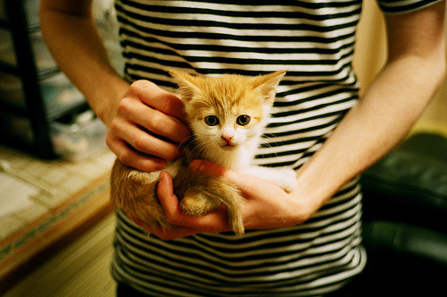 AYX体育-_青少年极限攀爬赛：从低难度到高挑战_，青少年攀岩比赛规则