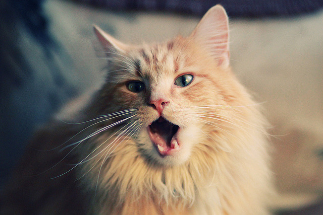 爱游戏-中国足球市场潜力巨大，投资热情高涨，中国足球产业规模