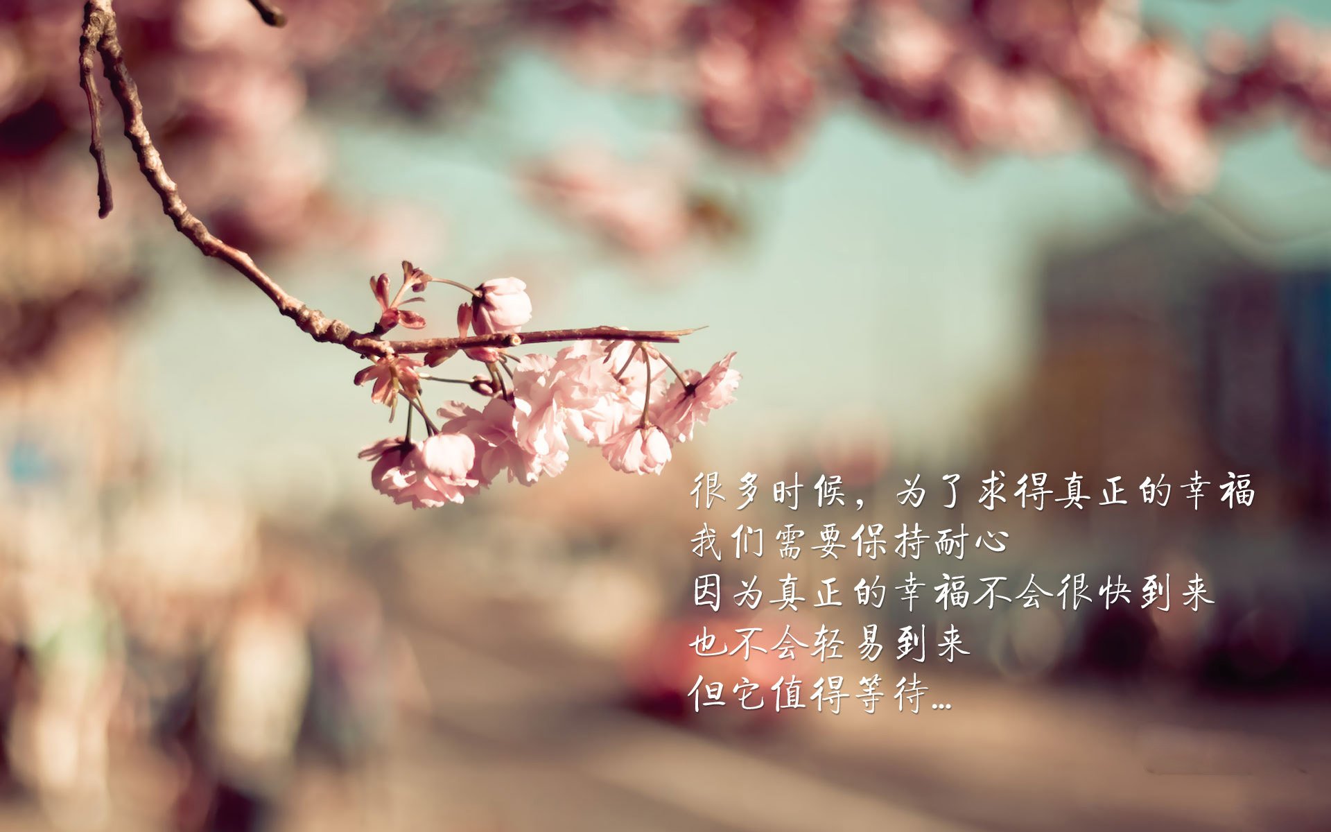 AYX GAME-“团队力量：幕后英雄的坚韧不拔”，团队的精英