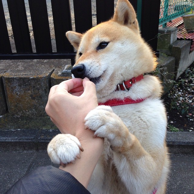 爱游戏app-“智能联赛管理系统提升比赛运行效率”，智能赛事