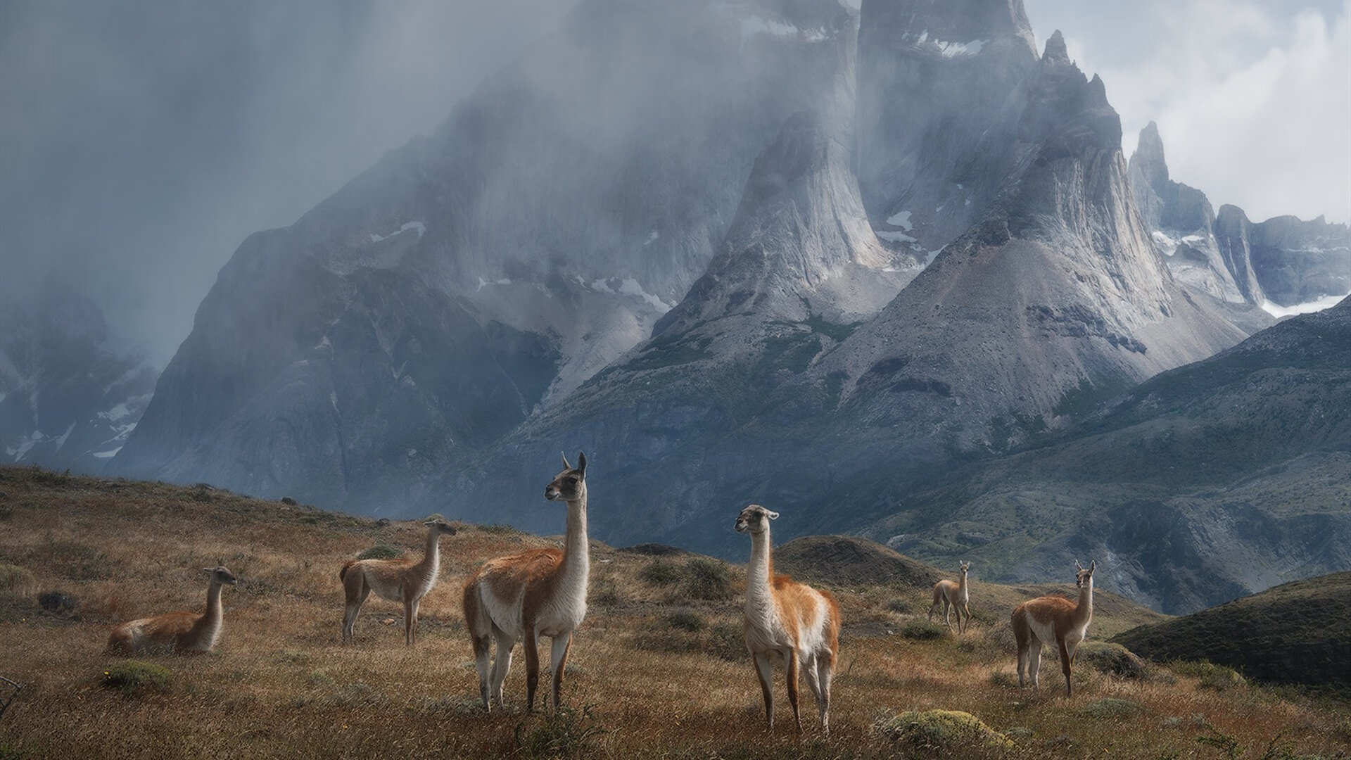 AYX官网-全国龙舟赛，水上竞技绽放团队风采，专业龙舟比赛