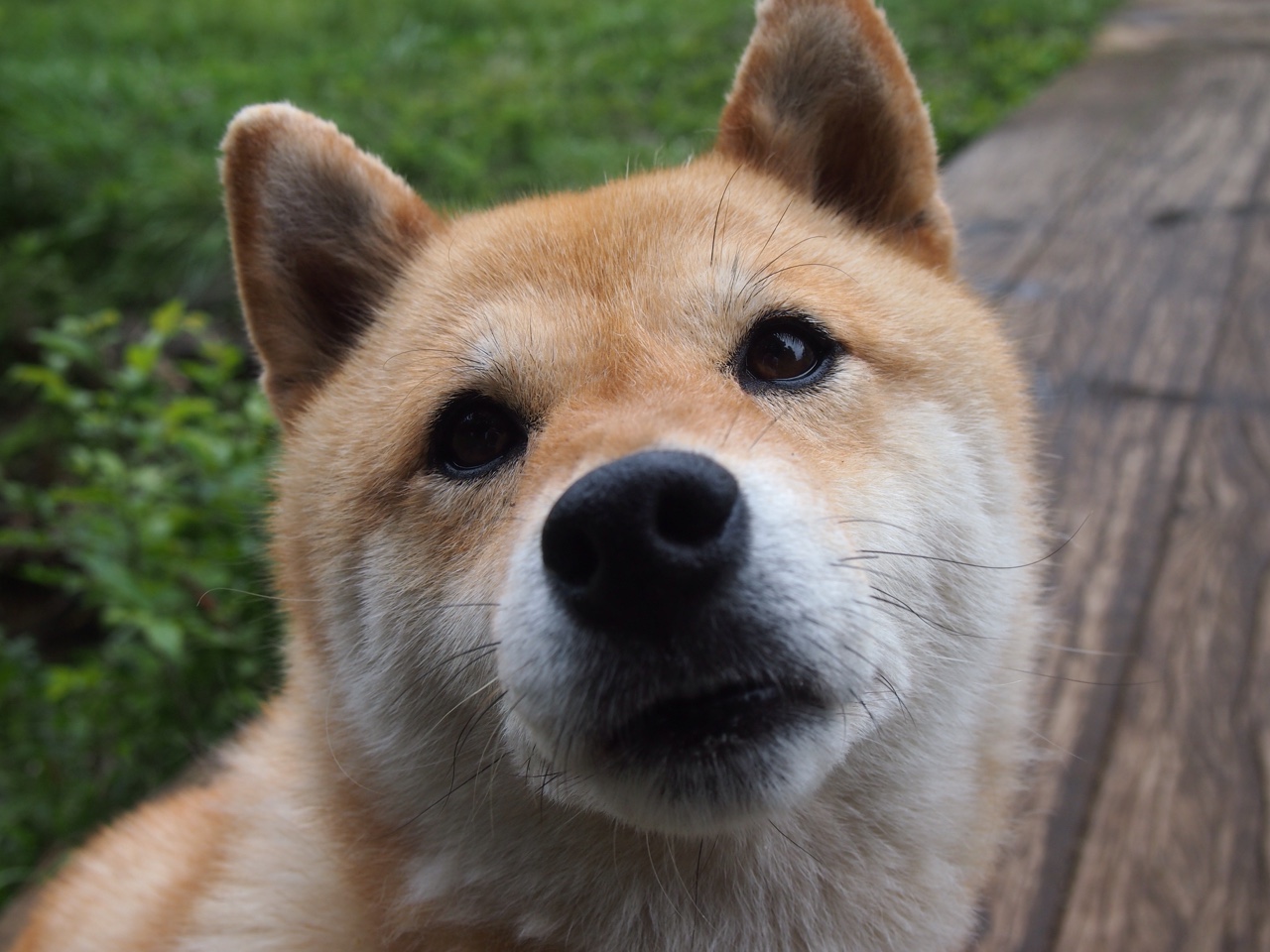 爱游戏中国官方网站平台-意甲：国际米兰2-2战平拉齐奥，卢卡库和卡拉莫扳平比分，卡卢卢 米兰