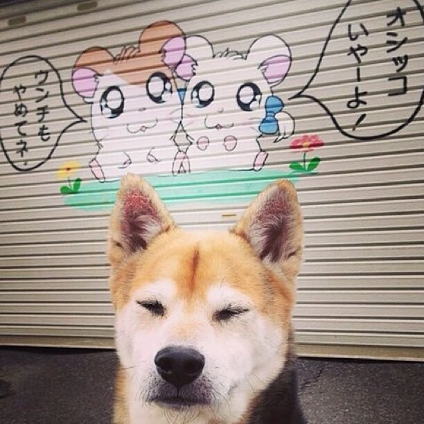 爱游戏-未来几年中国足球将迎来全面升级的黄金时代,中国足球未来的希望在哪里