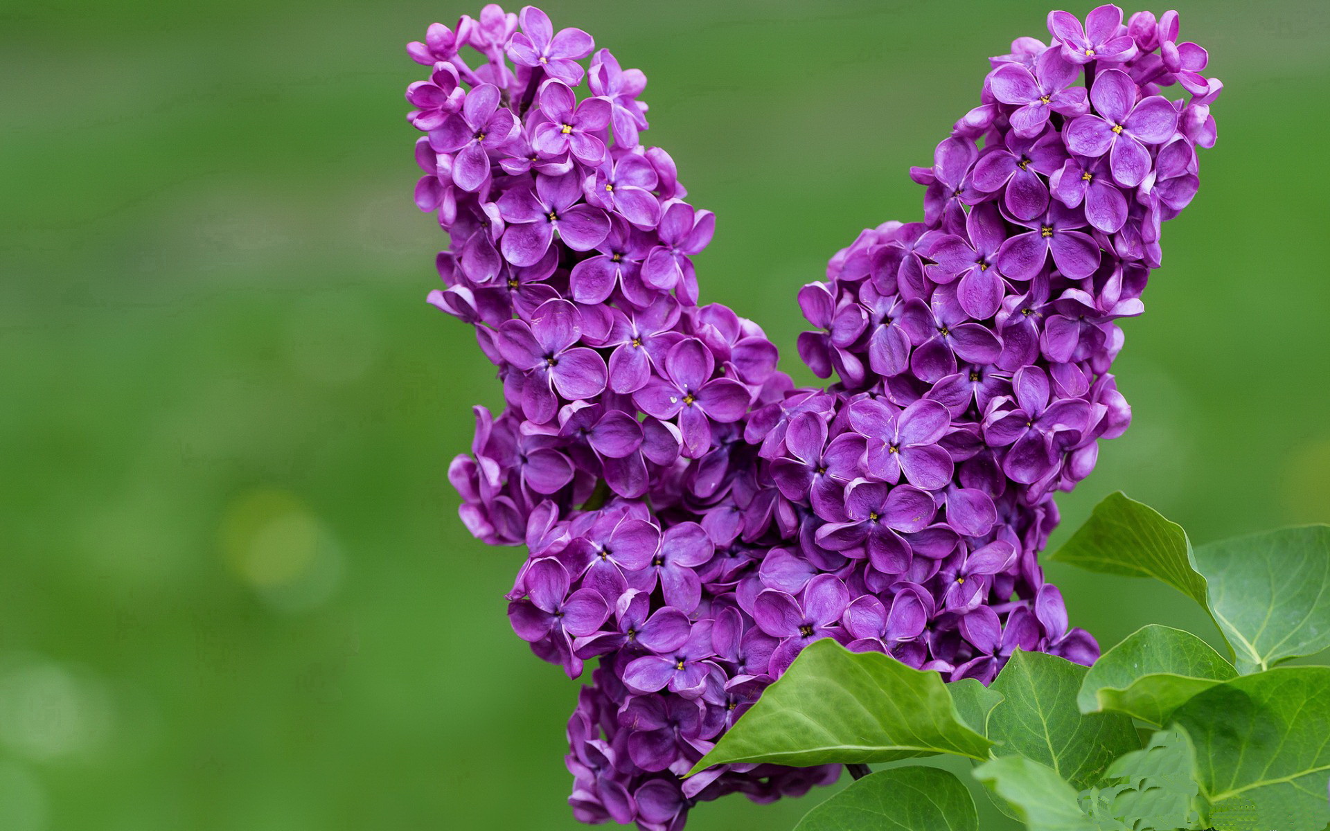 爱游戏app下载-编钟国际青少年网球邀请赛:传承文化,享受运动