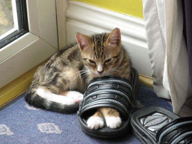 爱游戏体育（AYX）官方APP下载-回顾网球名将巅峰对决，网球之巅