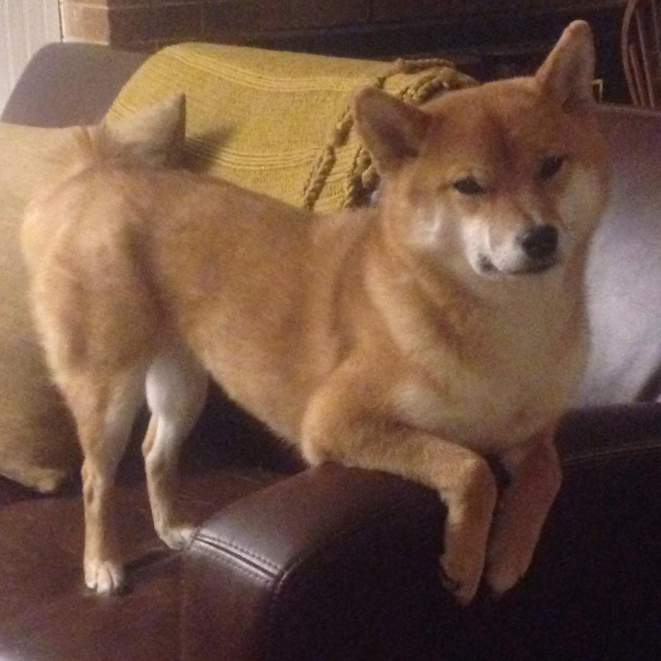 爱游戏娱乐网址-中国足球青训计划全国推广,中国足球青训计划全国推广了吗