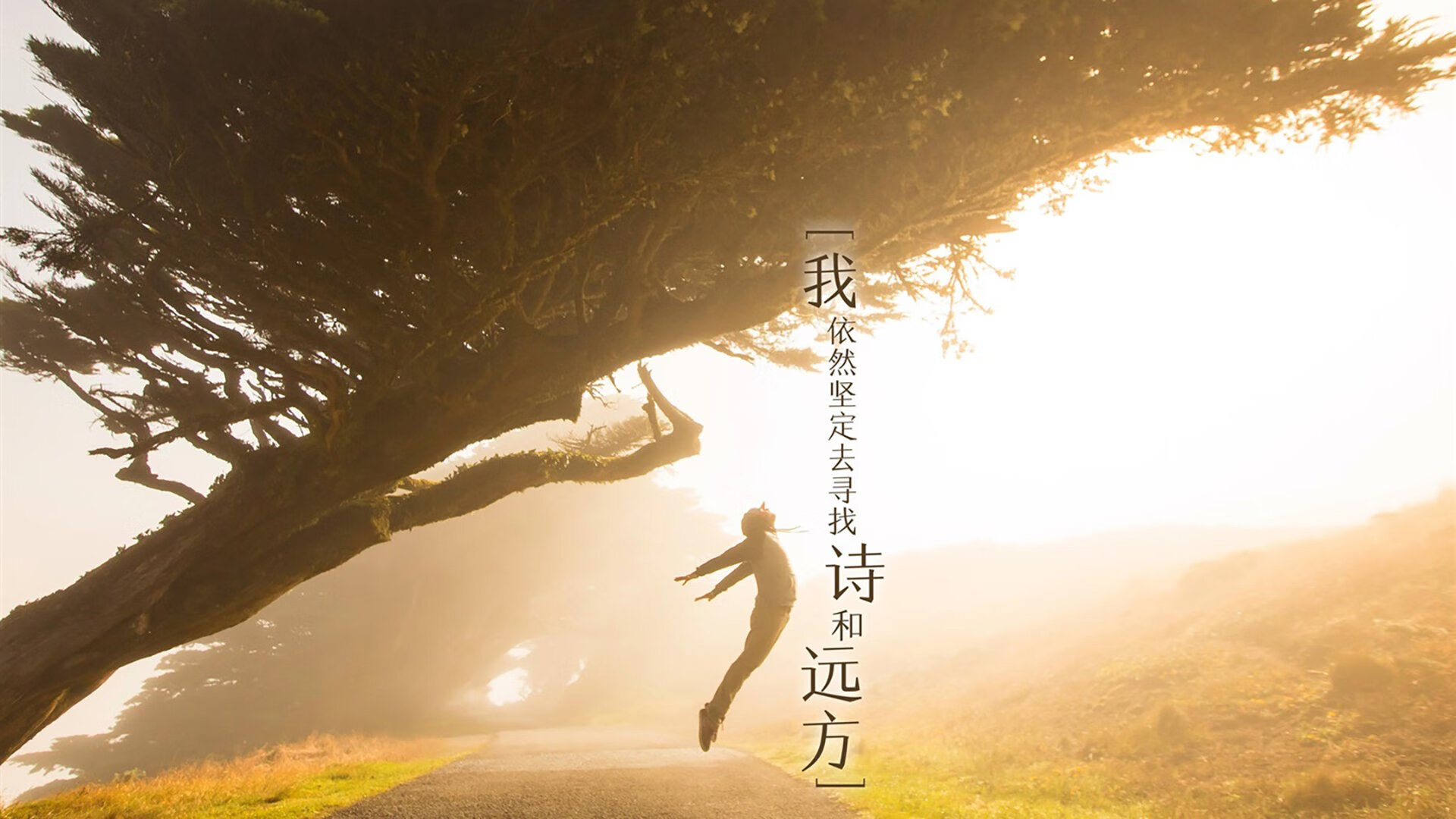 爱游戏官网-匈牙利队士气高涨，备战欧洲杯预选赛，匈牙利足球欧洲杯预选赛战绩