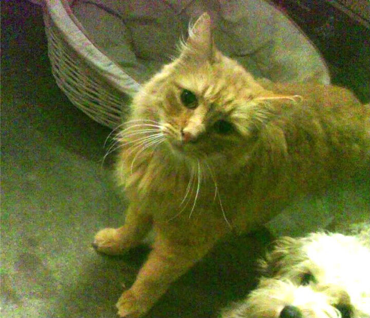 爱游戏平台-阿尔梅里亚主场1-1战平赫塔费，双方互交白卷，阿尔梅里亚主教练