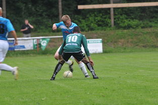 -足球与平等:推动多元文化共存战略,足球带来的和平