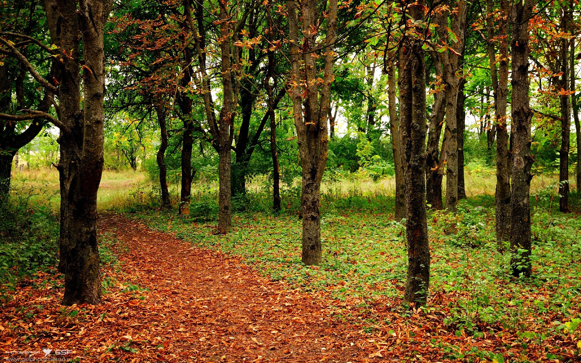 爱游戏官网-体育新闻中心协助地方体育局开展内容传播工作，体育新闻的报道