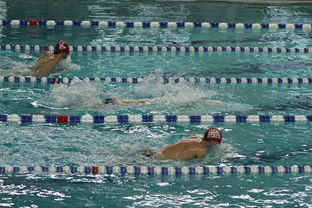 AIYOUXI.COM-世界短池游泳锦标赛多项世界纪录诞生，第一届世界短池游泳锦标赛