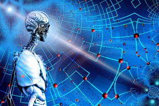 AYX体育官网-智能体育装备数据分析应用,体育运动智能