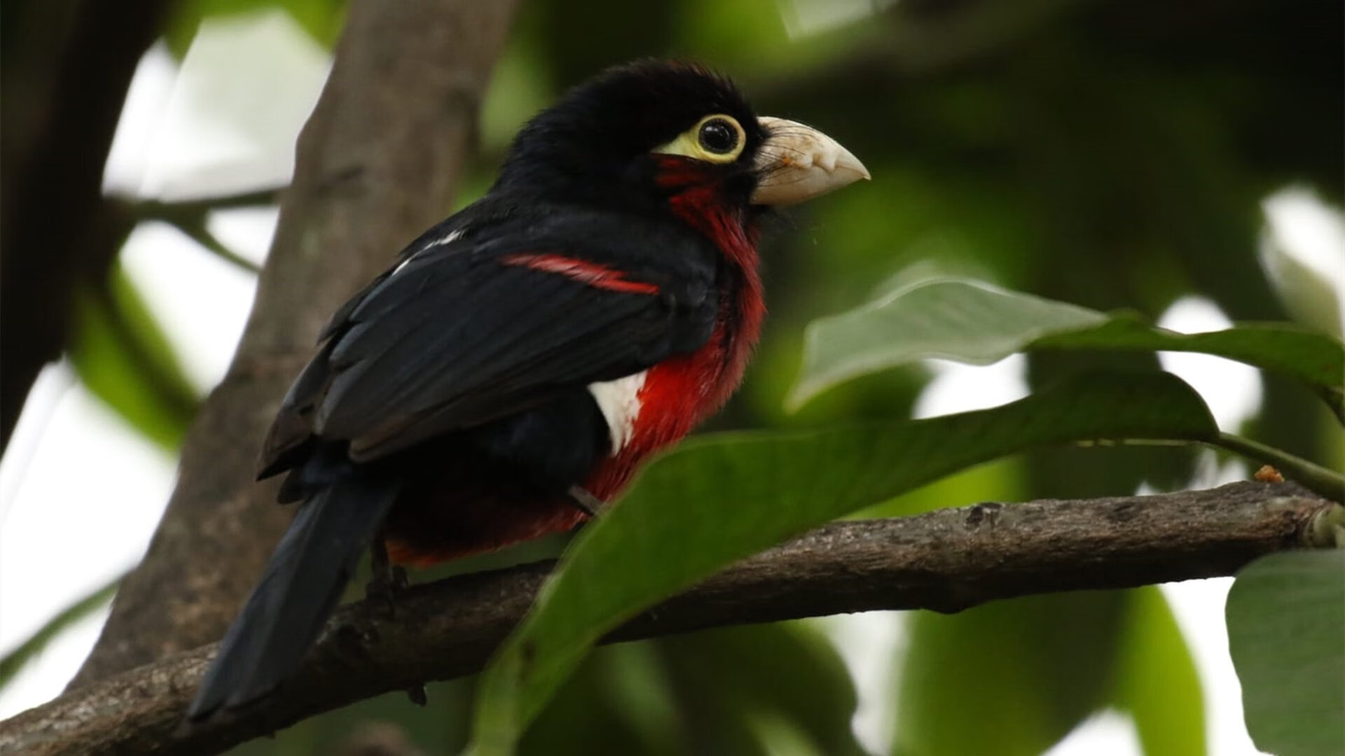 爱游戏体育平台-校园体育文化建设对学生健康促进作用研究,体育在校园文化建设中的作用