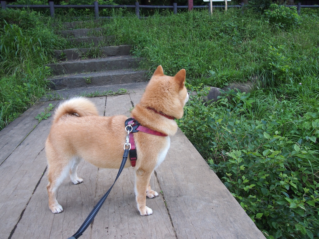 爱游戏体育-多地推动篮球进校园活动普及篮球文化扎根基层，校园篮球文化建设