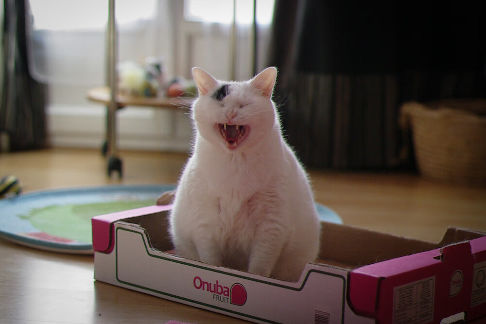 爱游戏app下载-意甲万人迷进球：瞬间点燃看台热潮，意甲球迷最多的球队