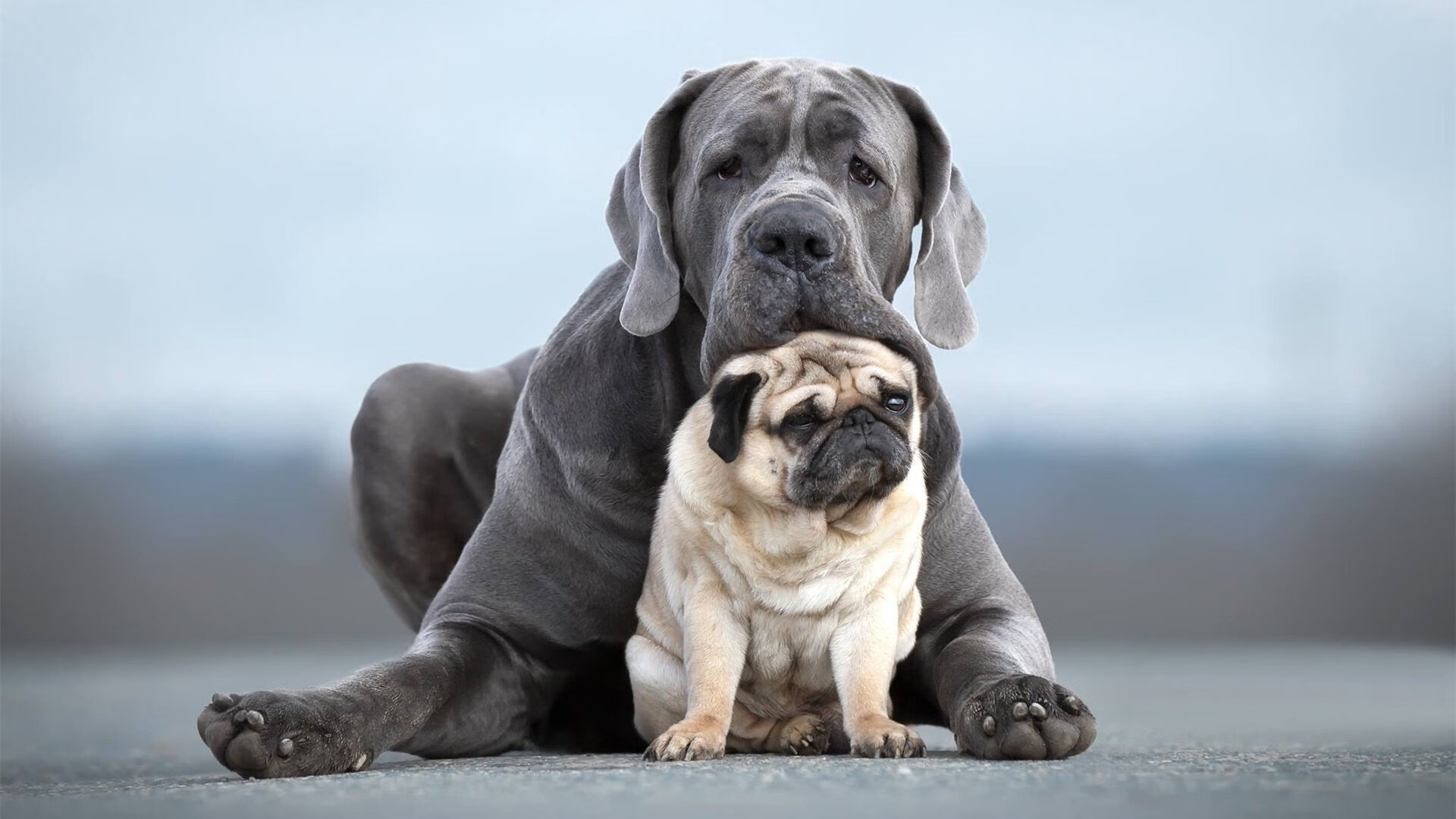 爱游戏体育APP下载-2024年混合团体世界杯:Chinese Taipei进步显著,2024年世界杯在哪里举办