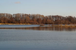 爱游戏体育平台-“东安湖体育公园迎来跑酷明星,挑战全新极限”