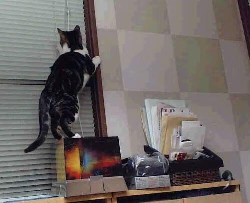 爱游戏下载-西甲超级战将：技能展示令人叹为观止，西甲 超级杯