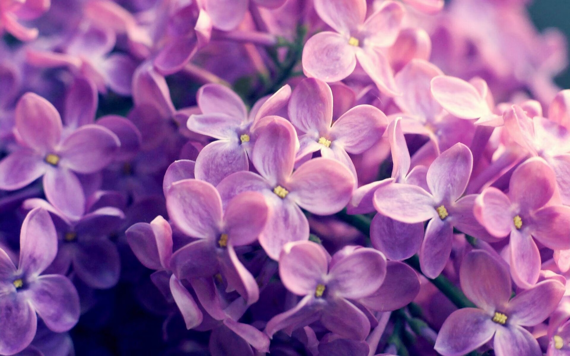 爱游戏 电竞-青少年篮球精英营引入多语种教练提升语言适应力，青少年篮球训练营的简介