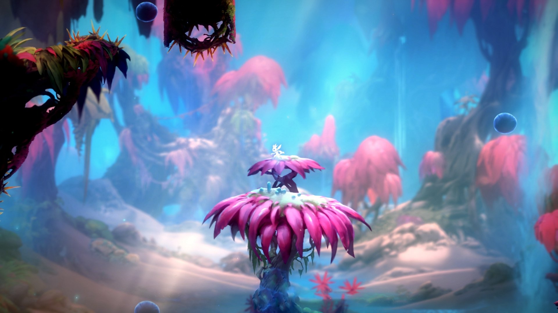 AYX官网-黄蜂控卫转发训练视频并感谢粉丝留言,黄蜂队以前最有名的控卫