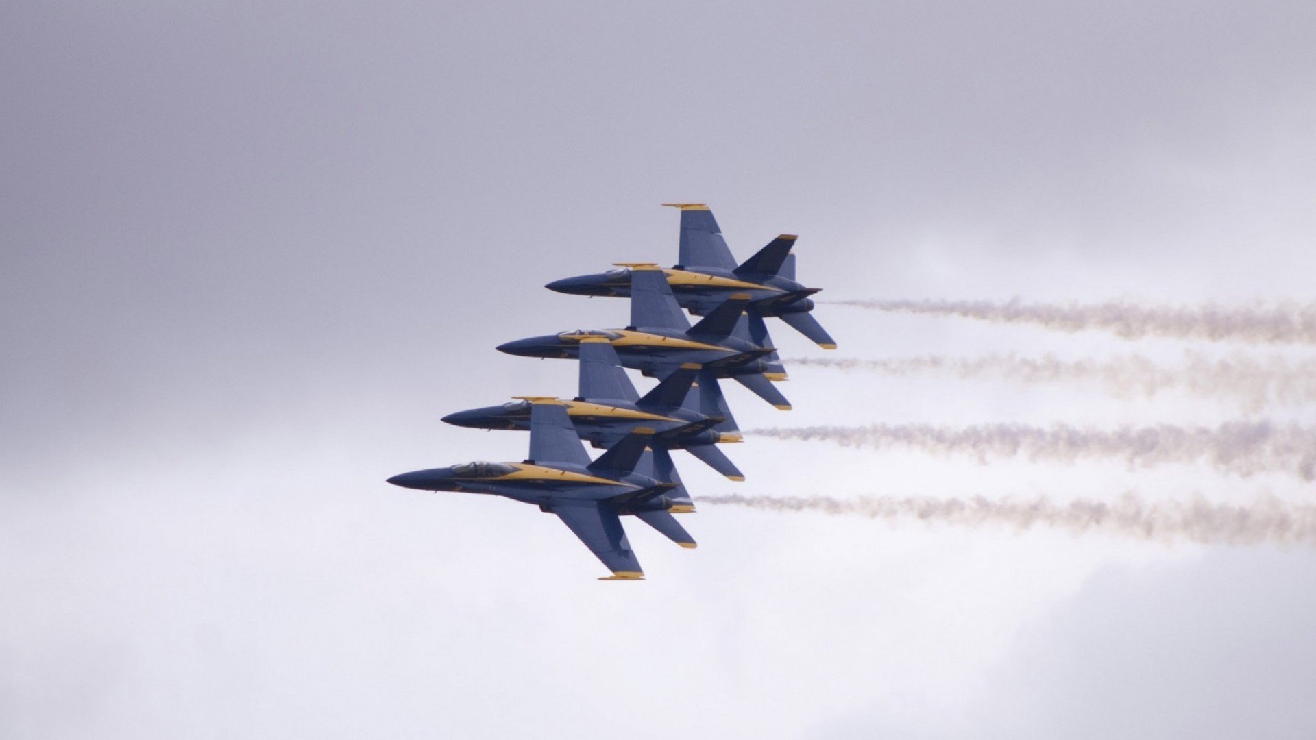 爱游戏体育官方网站-黄蜂主场翻新计划正式启动,黄蜂主帅