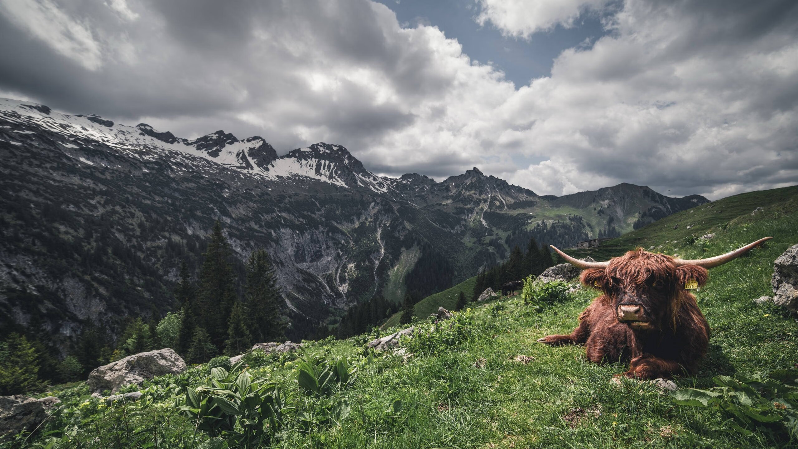 爱游戏官方网站-体能分配科学,冲刺阶段完成度高,体能如何分类