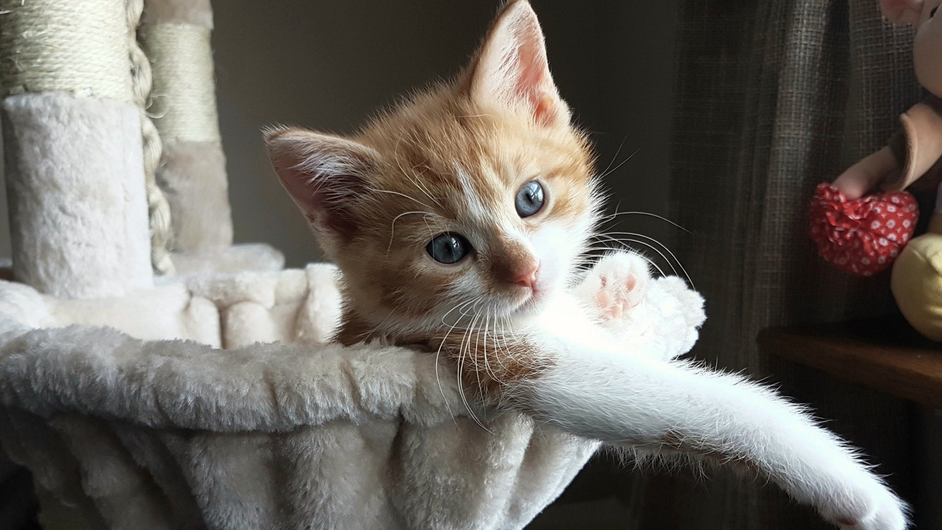 爱游戏中国官方网站平台-出发滑行段速度数据分析，滑行速度公式