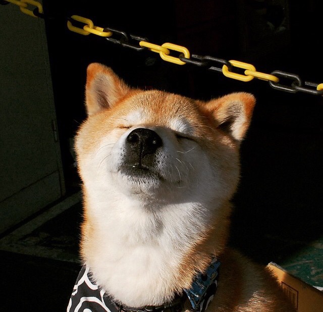 爱游戏中国官方网站平台-出发滑行段速度数据分析,滑行速度公式